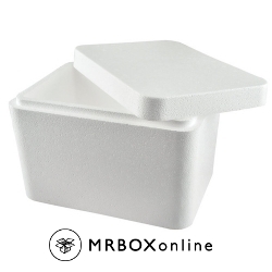 12x12x9 22-Quart Styrofoam Coolers