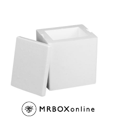 8x6x11.5 Styrofoam Cooler