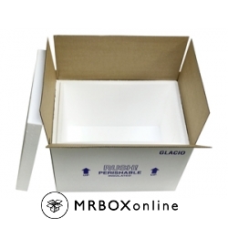 20.5x13.25x14 66-Quart Styrofoam Coolers