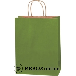 10x5x13 Green Tea Tinted Shopping Bags