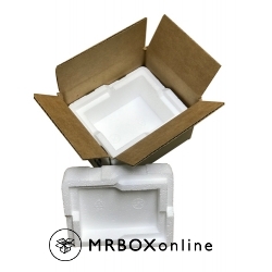 6x4.5x4 2 Quart Mini Styrofoam Coolers