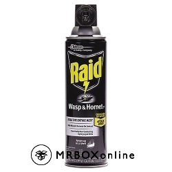 Raid Wasp and Hornet Spray