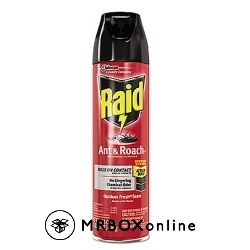 Raid Ant and Roach Killer Outdoor Scent